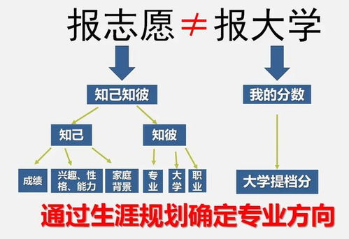 2024年報(bào)考志愿指南 計(jì)算機(jī)專業(yè)就業(yè)方向，鴻蒙開發(fā)與人工智能如何選擇？